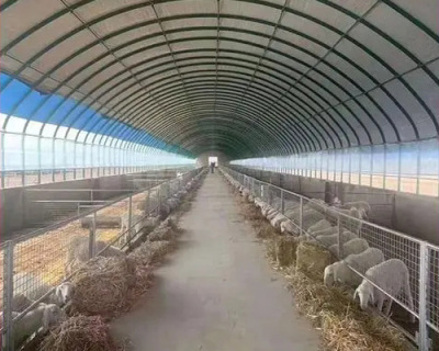 牛羊棚